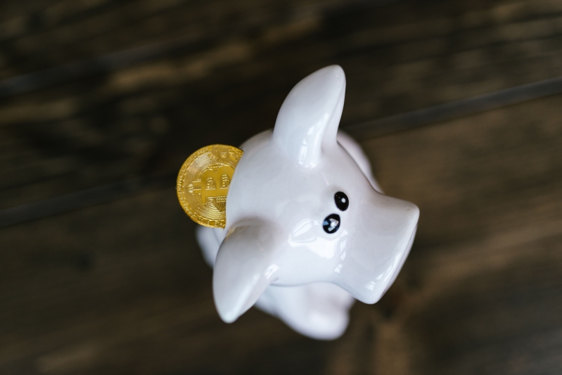 dogecoin price