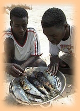 Image copyright © 2000  www.markspark.com/africa99